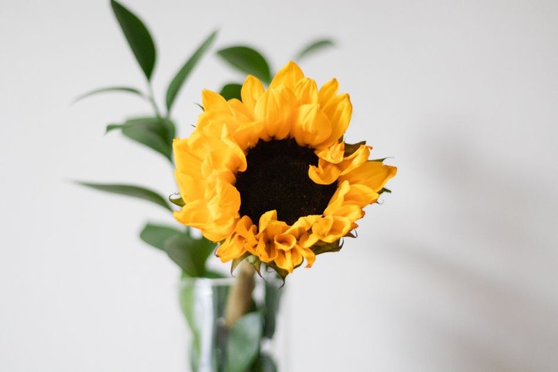 Ramo Girasoles del Puerto